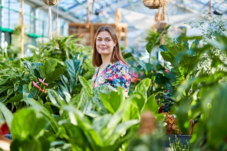 Mit Grünpflanzen das Zuhause richtig gemütlich machen